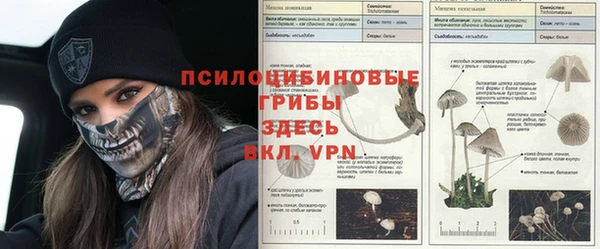 марки nbome Балахна