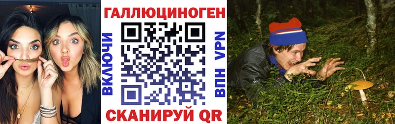 Купить  Ессентукская  Псилоцибиновые грибы мицелий 