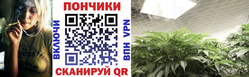 МАРИХУАНА гибрид  Купить где  Ессентукская 